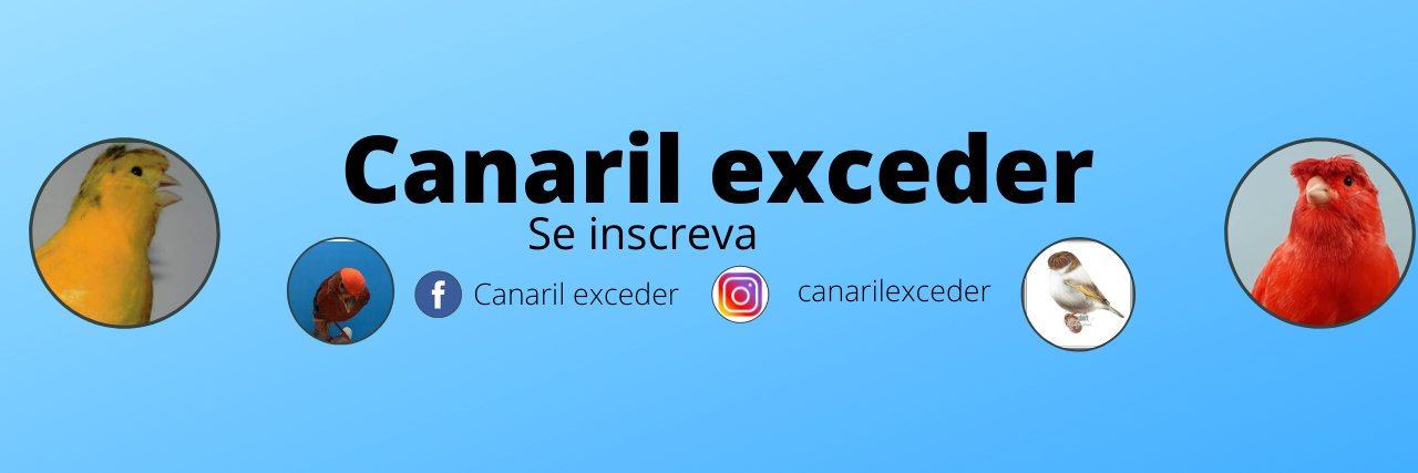 excedervocevai's profile banner image