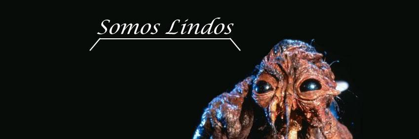 o_viniii's profile banner image