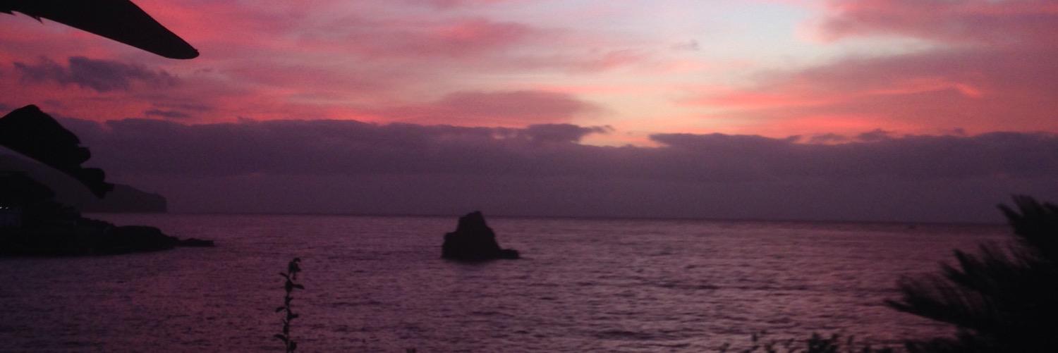 MatildeCotrim's profile banner image