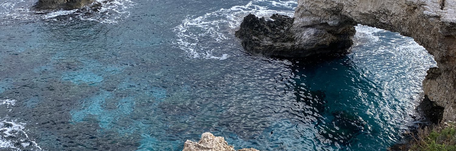 Milena Avramovic banner