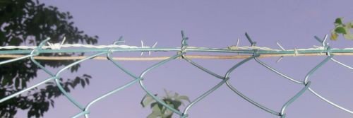 rorxcio's profile banner image