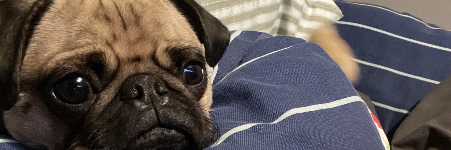 Pat_Mirandaa's profile banner image