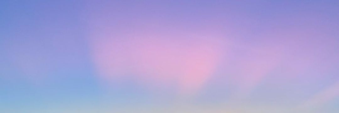 FGamboa3101's profile banner image