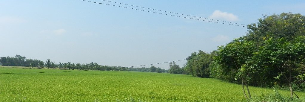 AxPn's profile banner image