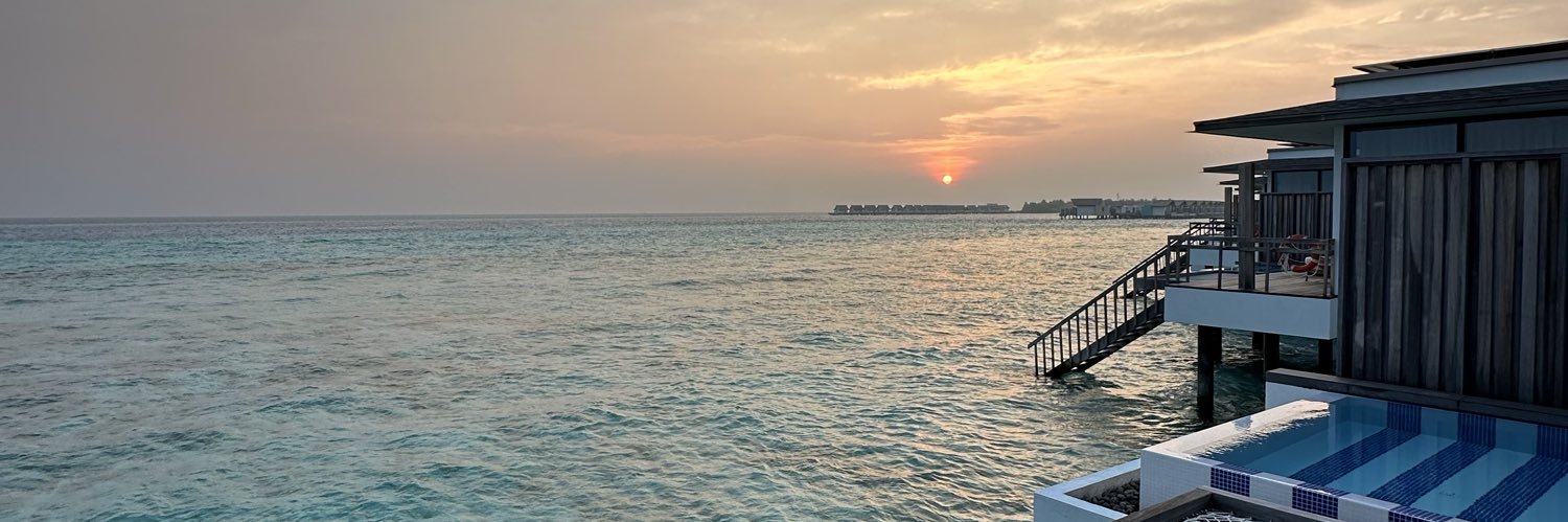 Zelestee8's profile banner image