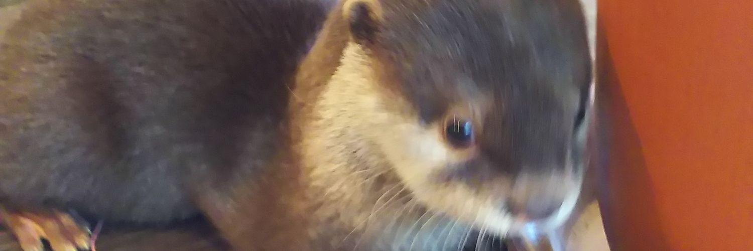 dontyantyan's profile banner image
