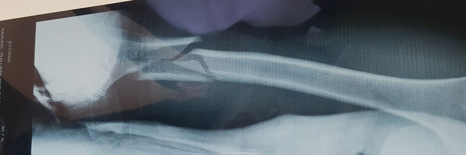 lipipsipilip's profile banner image