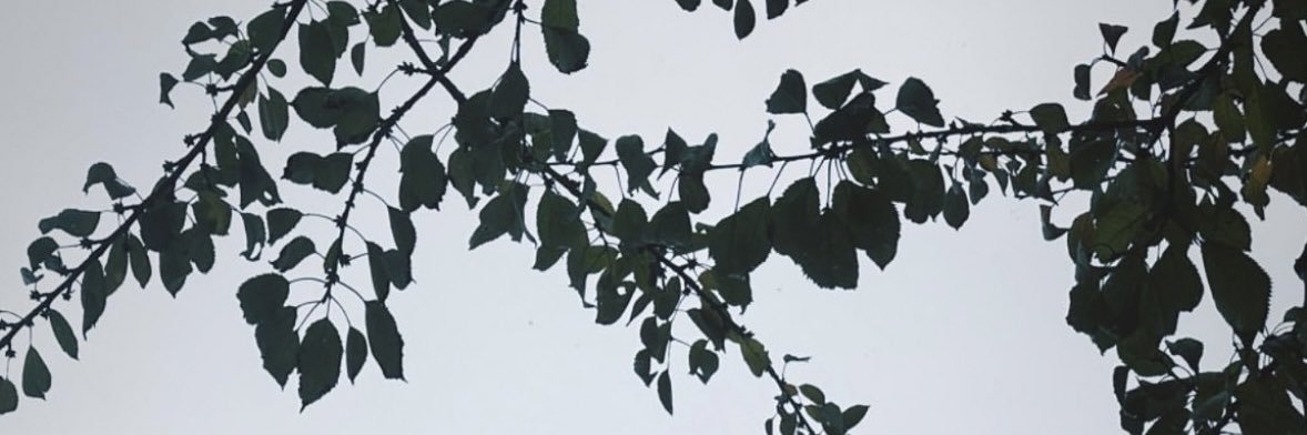 RodrigoFP_'s profile banner image