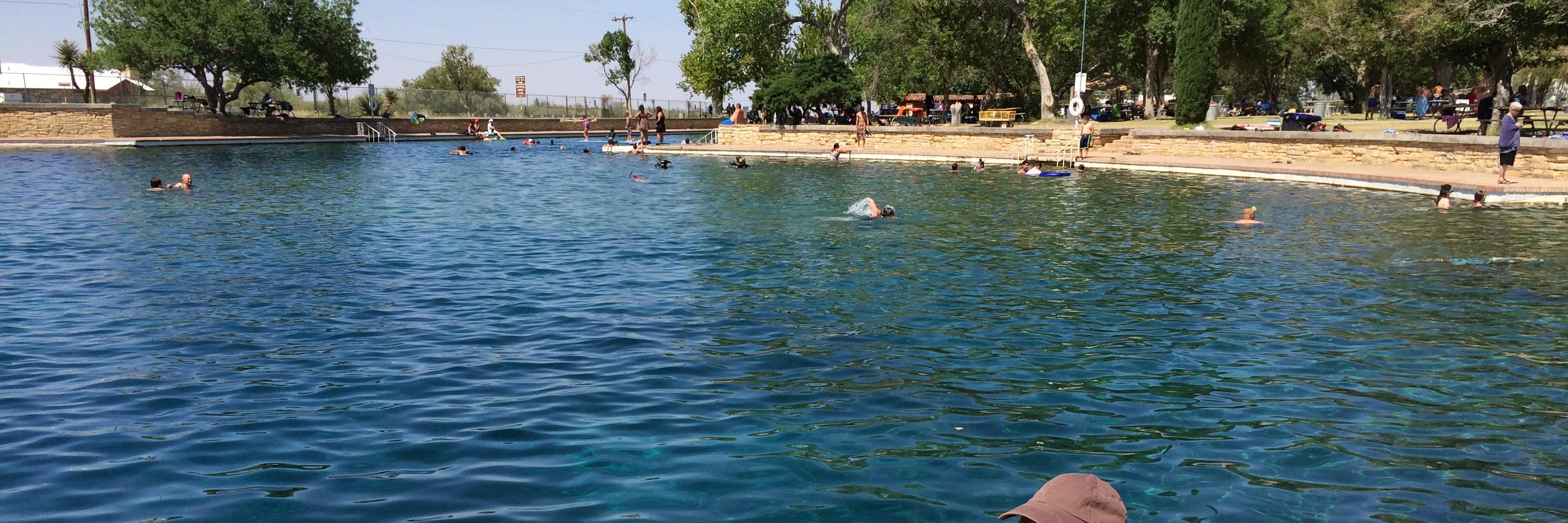 Joe Nick Patoski banner