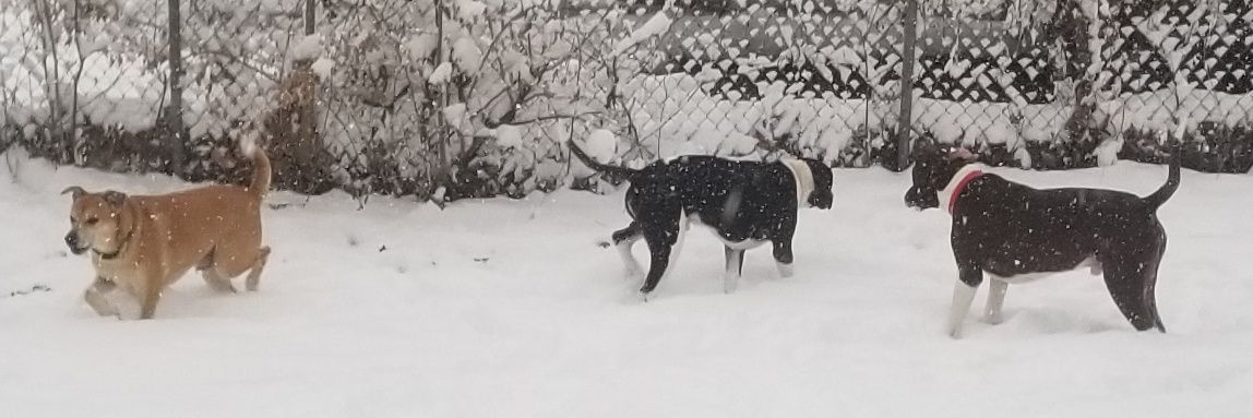 Bryan Roberds banner