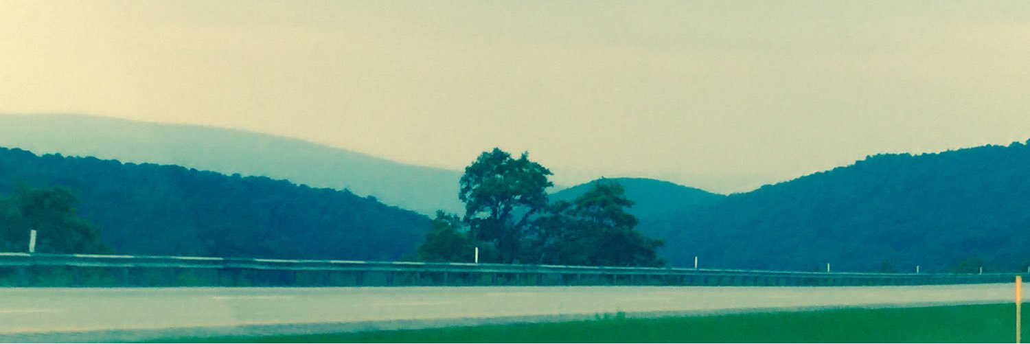 4th-Party Pol banner