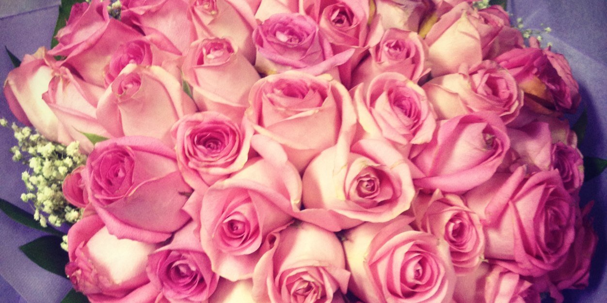 shabilaa's profile banner image