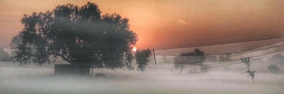 d_raz's profile banner image