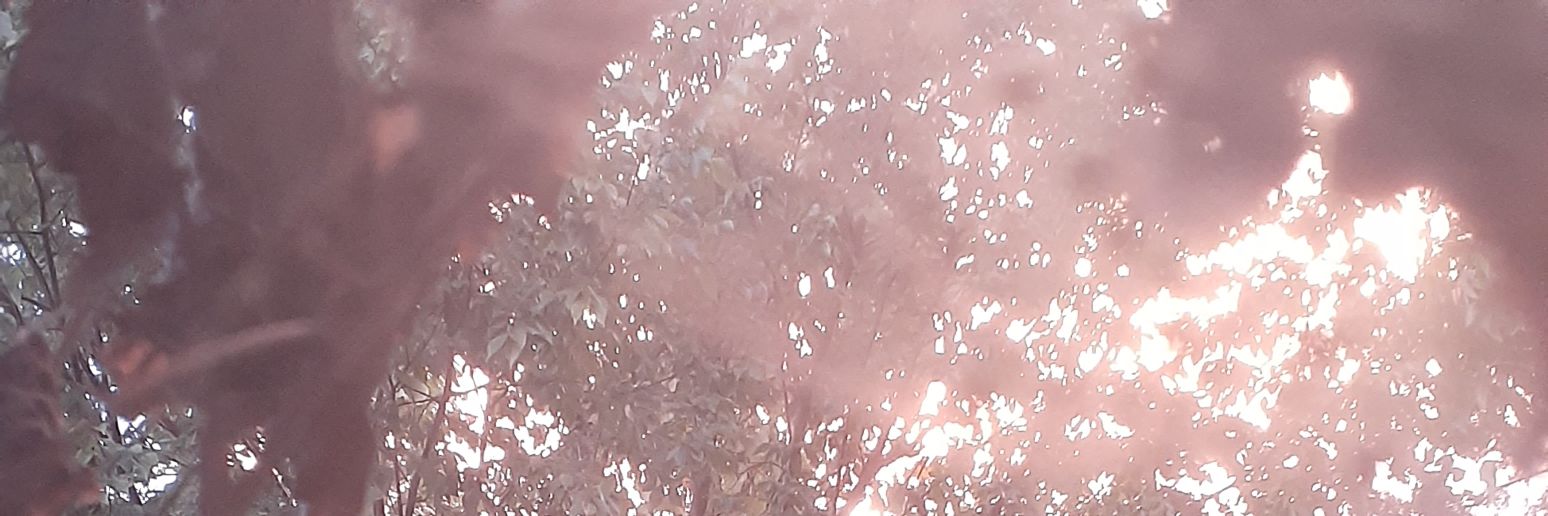 Krysaffe's profile banner image