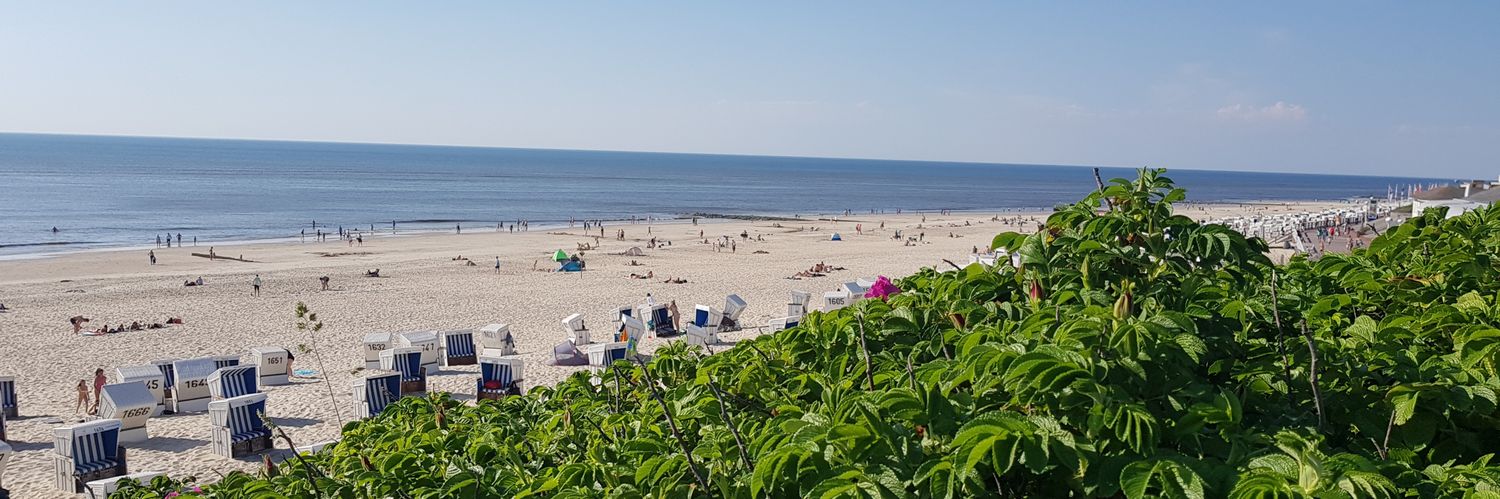 jürgen schneider banner