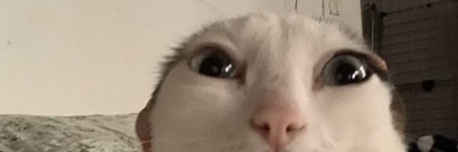 Jedistud's profile banner image