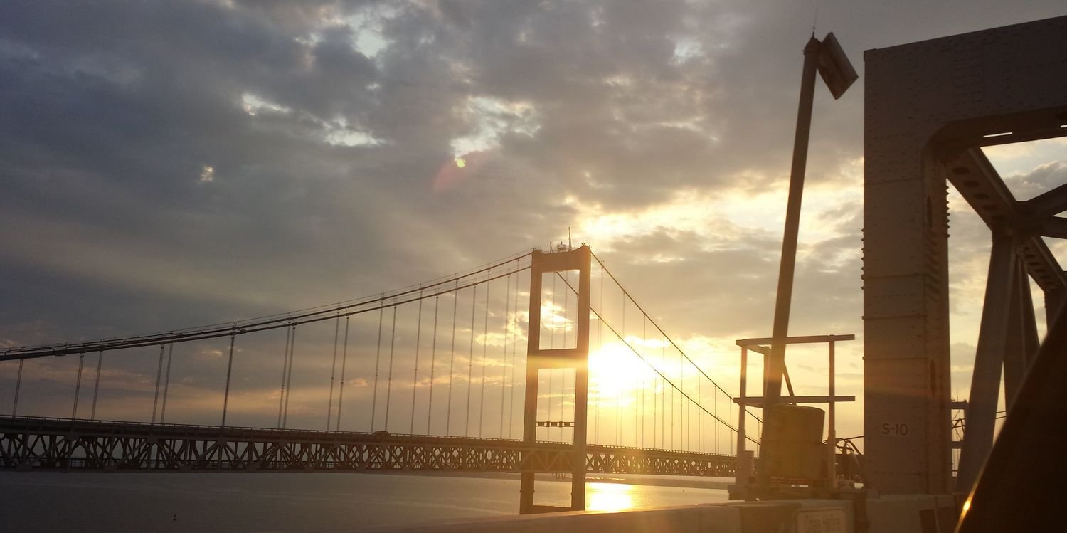 Conewood_'s profile banner image
