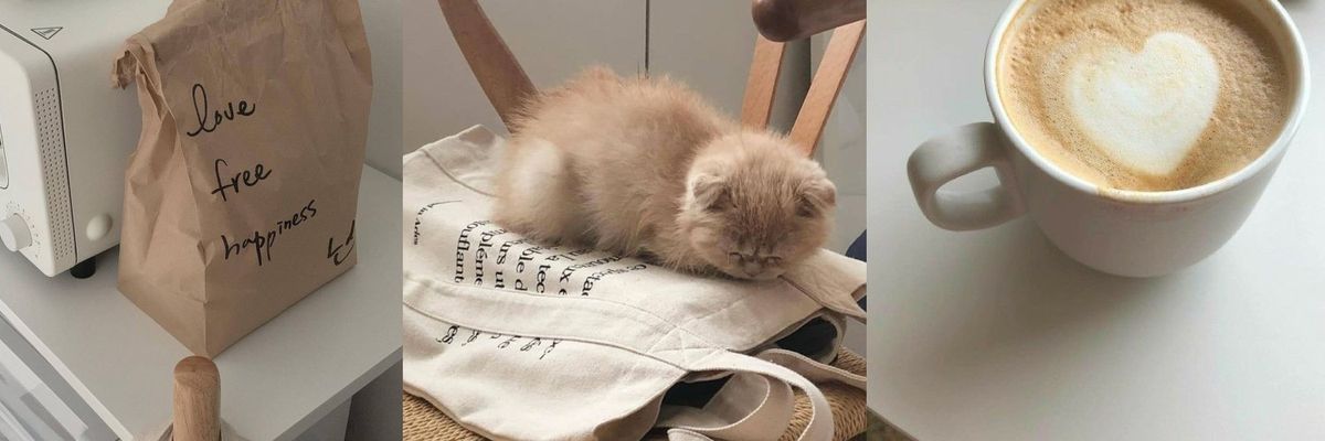 Tortelli_N's profile banner image