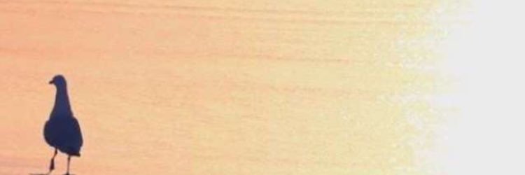 AeudM's profile banner image