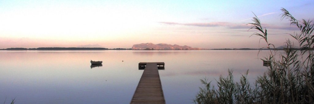 Vale_Barresi's profile banner image