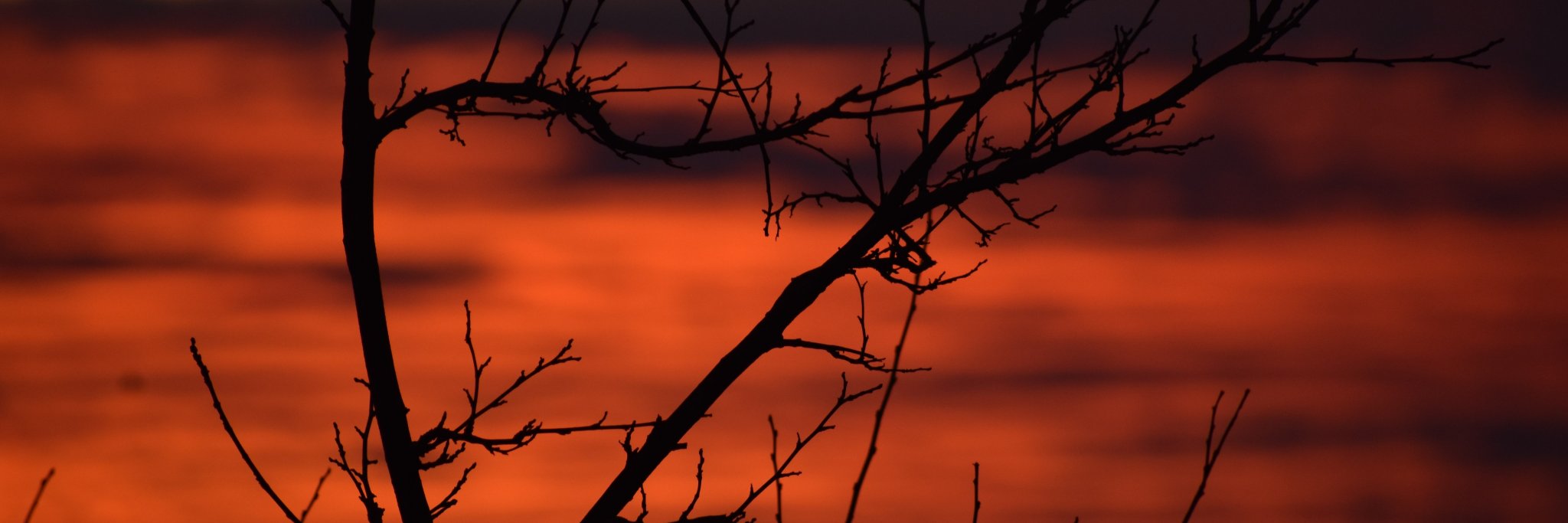 wotschka's profile banner image