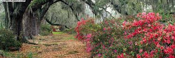 RepostRegramApp Profile Banner