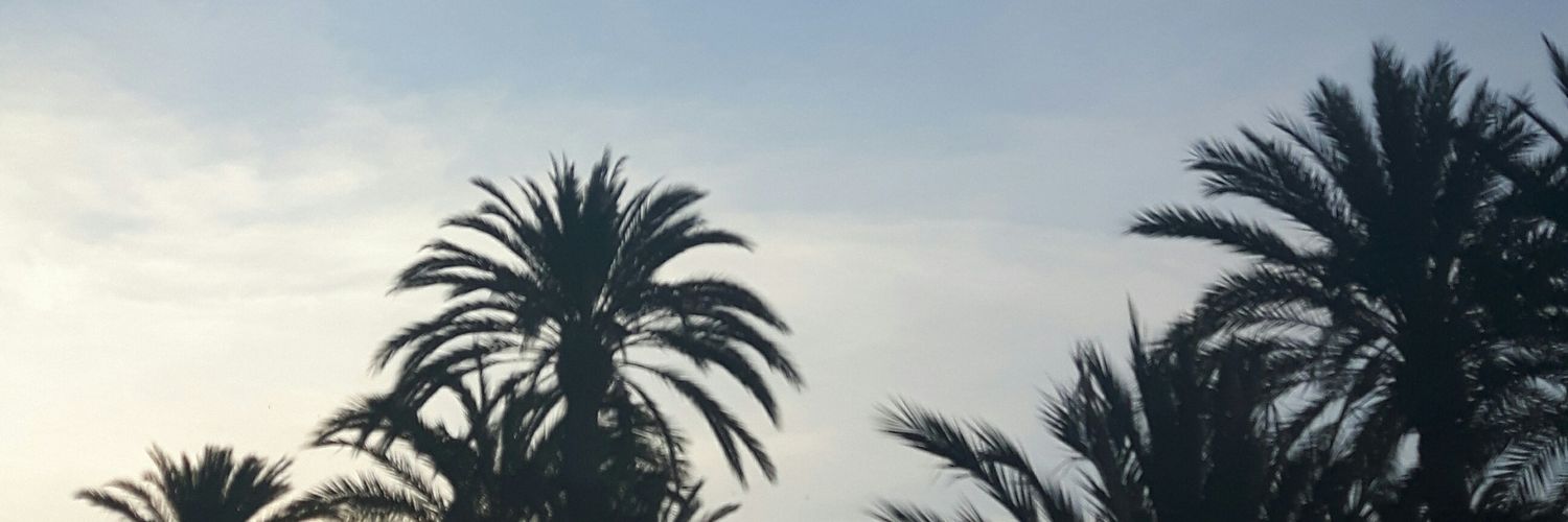 vrginiadiaz's profile banner image