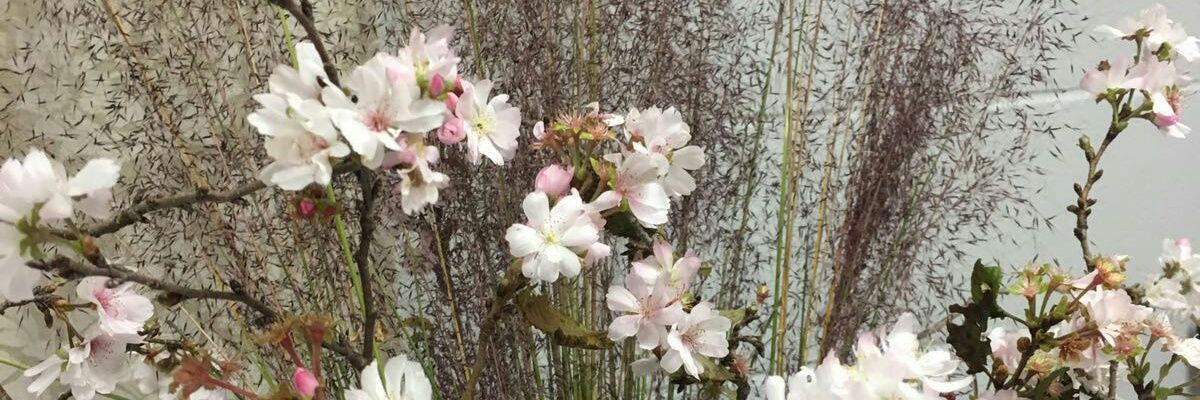 leenavani's profile banner image