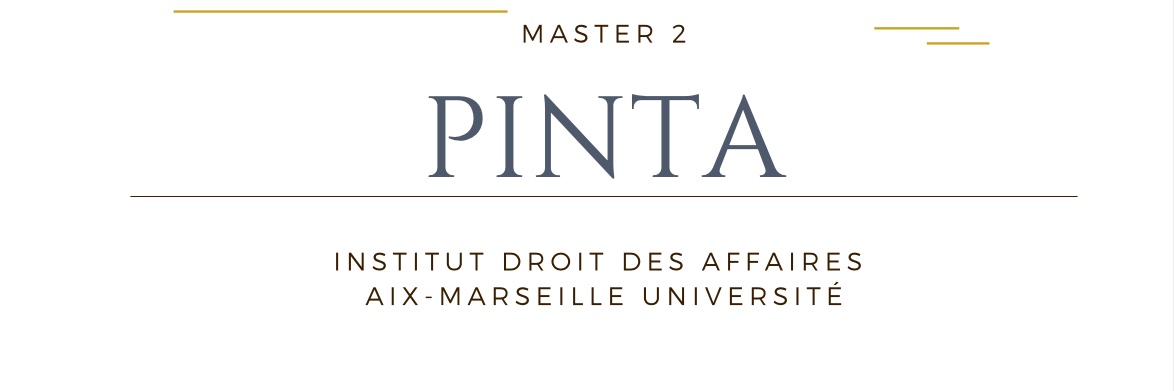 Master 2 PINTA Aix-en-Provence banner