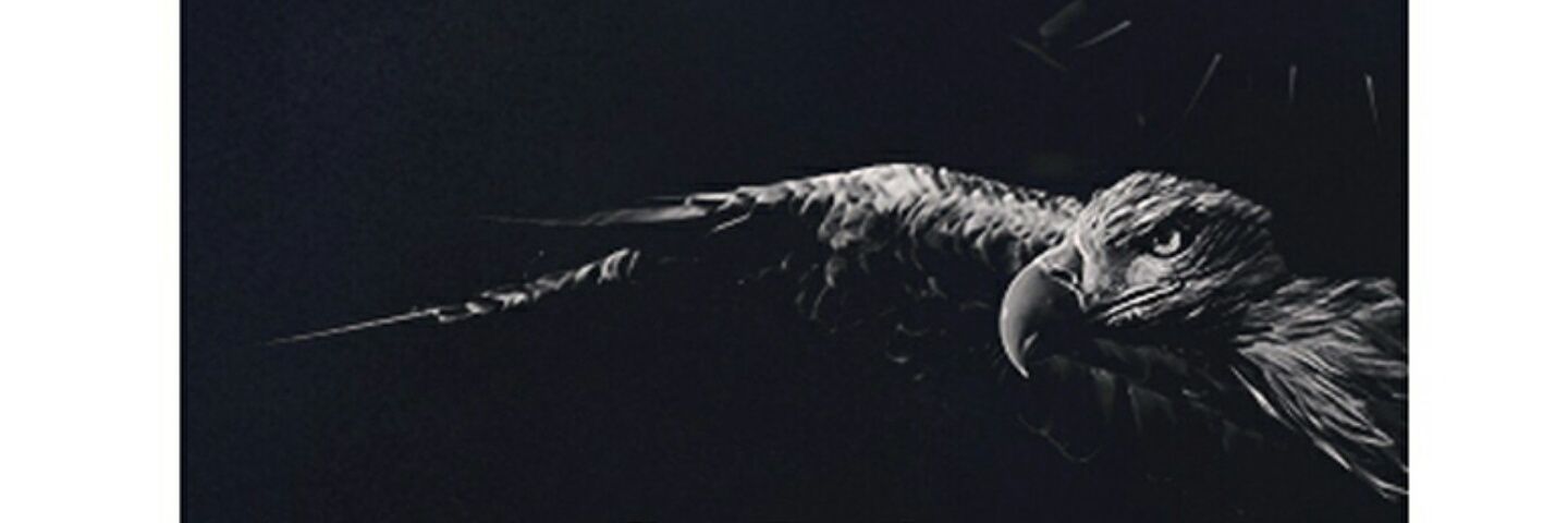 Metin Sonsoy banner