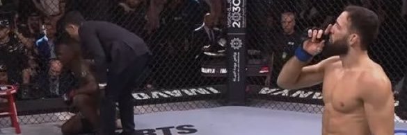 Séquano-Dionysiens banner