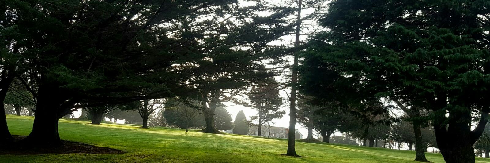 Enniscorthy GolfClub banner