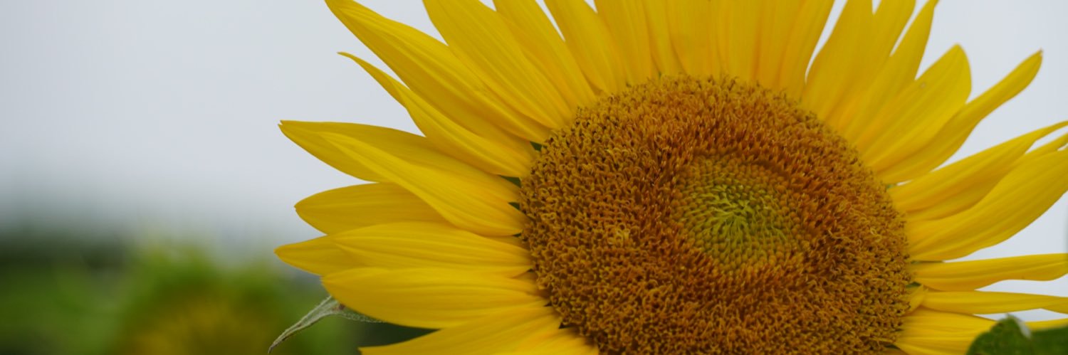k104sese's profile banner image