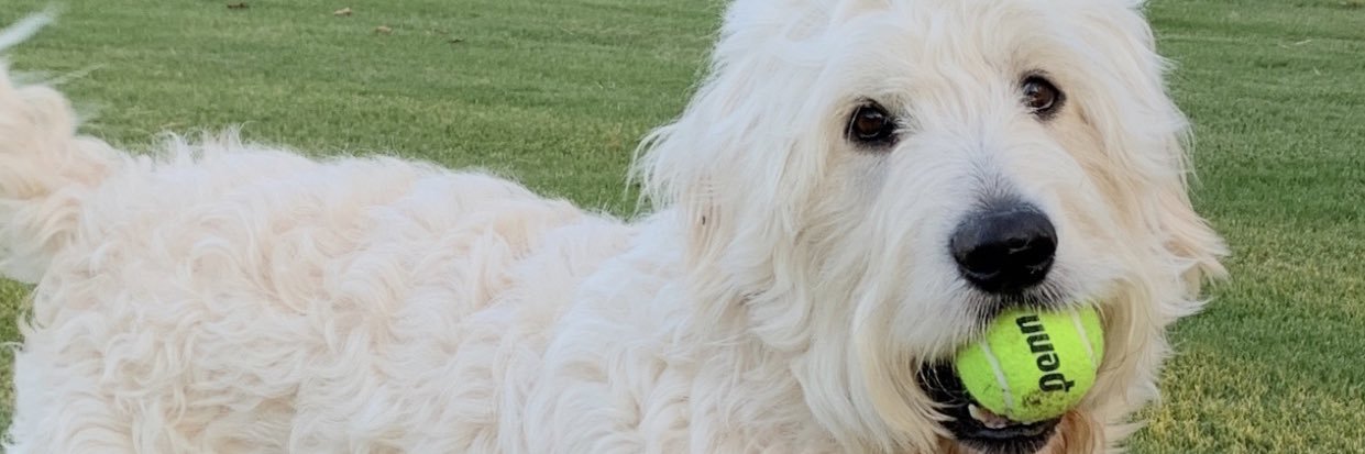 ParkerGwin's profile banner image