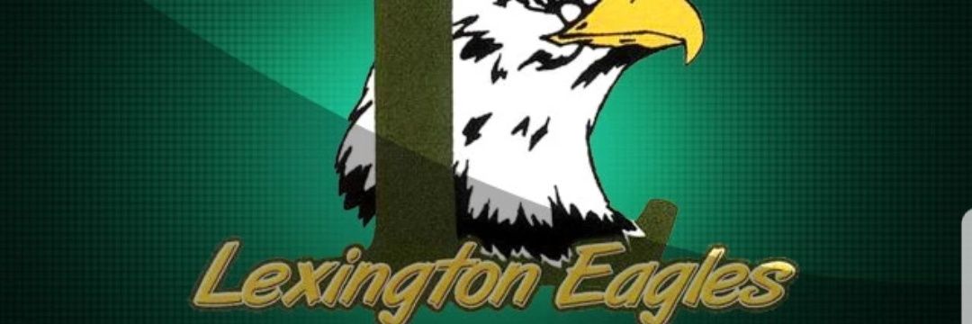 Lexington Baseball banner