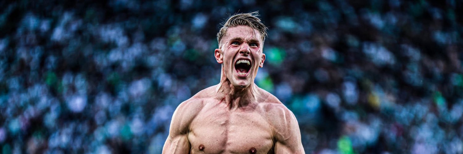 O Sportinguista Do Norte banner