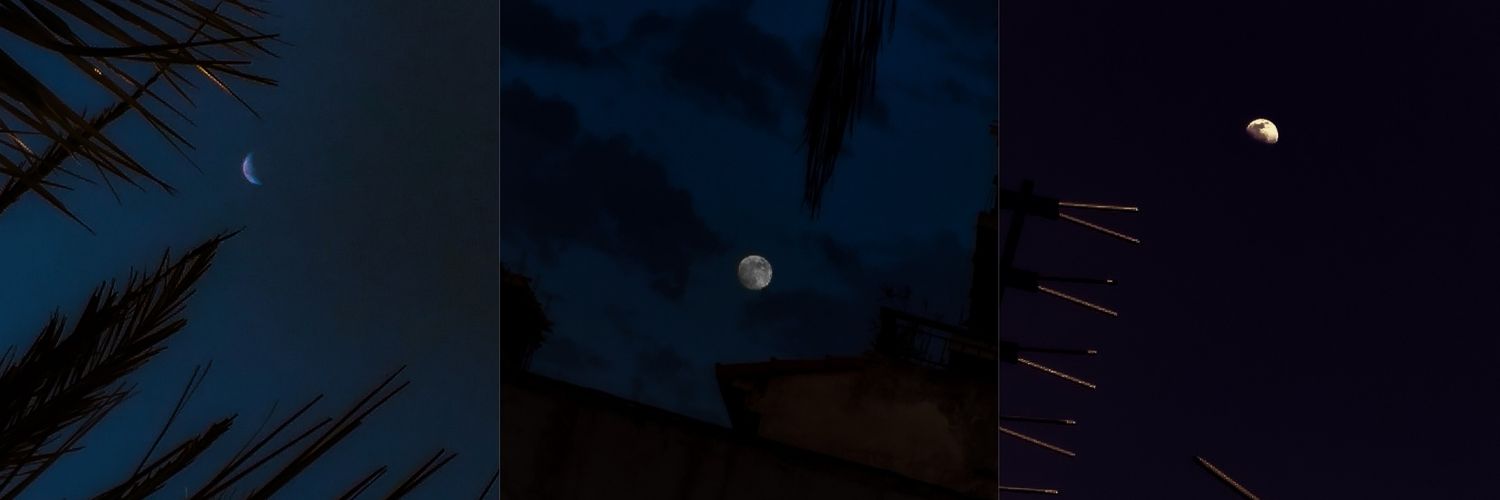 sarra_tebib's profile banner image