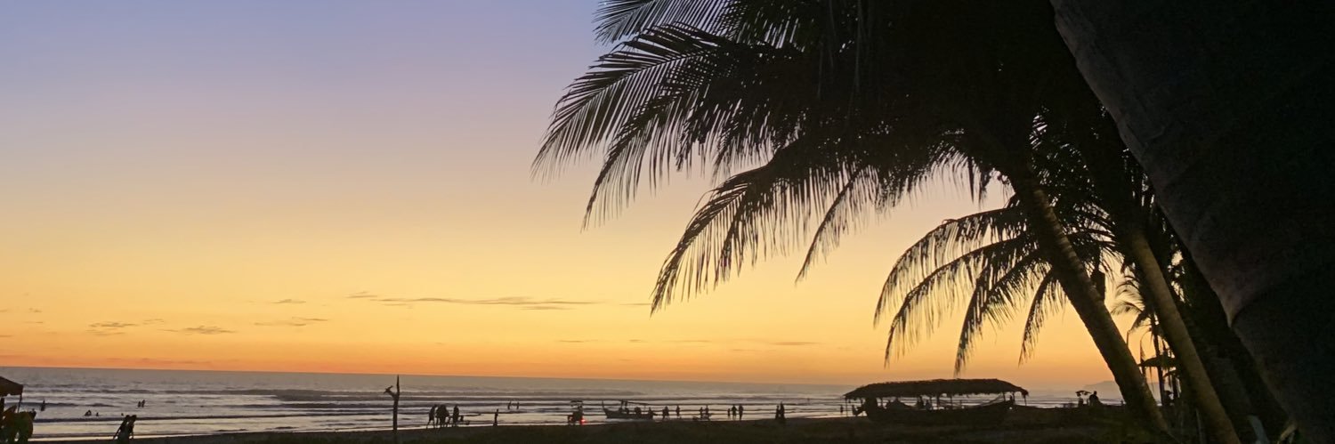 pamelajoya's profile banner image