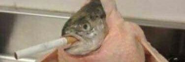 alphakidnachos's profile banner image