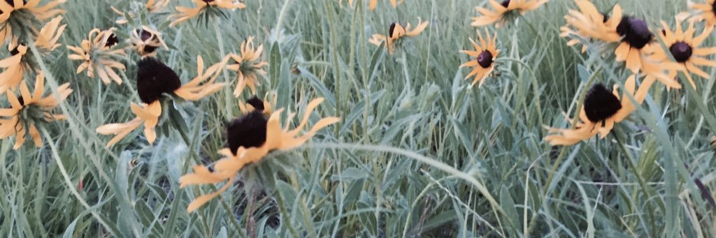 ErynSmithhh's profile banner image