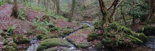 CRawlinson01 Profile Banner