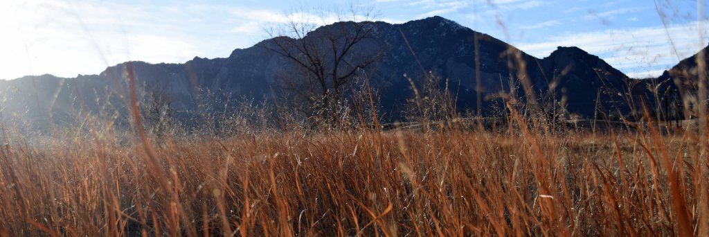 Dustin_Michels's profile banner image