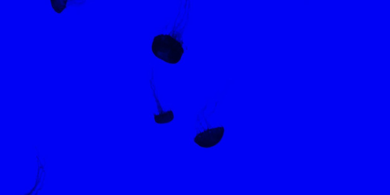 ChelseaJardine's profile banner image