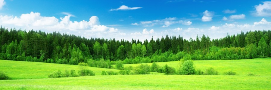 exfinia's profile banner image