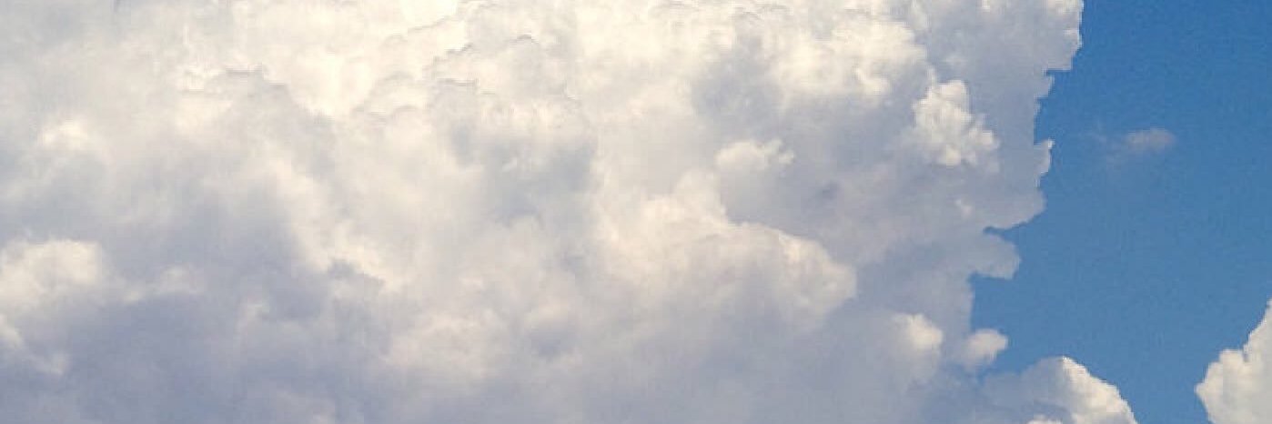 Leowulf's profile banner image