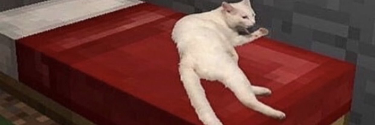 rango_best's profile banner image