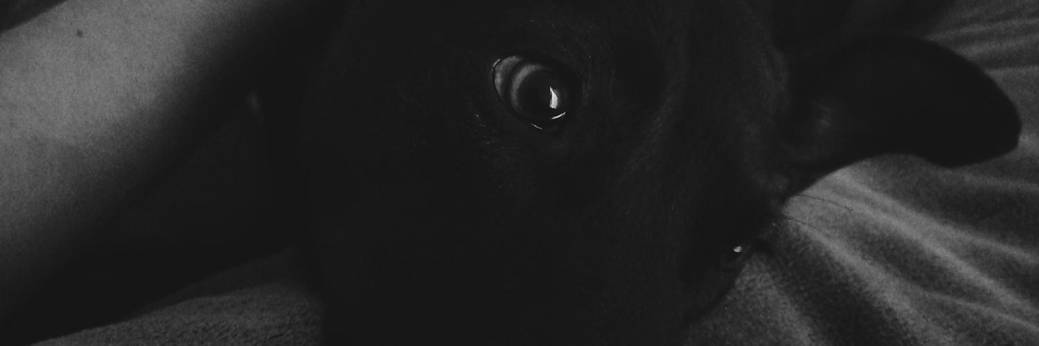 AcostaMili's profile banner image