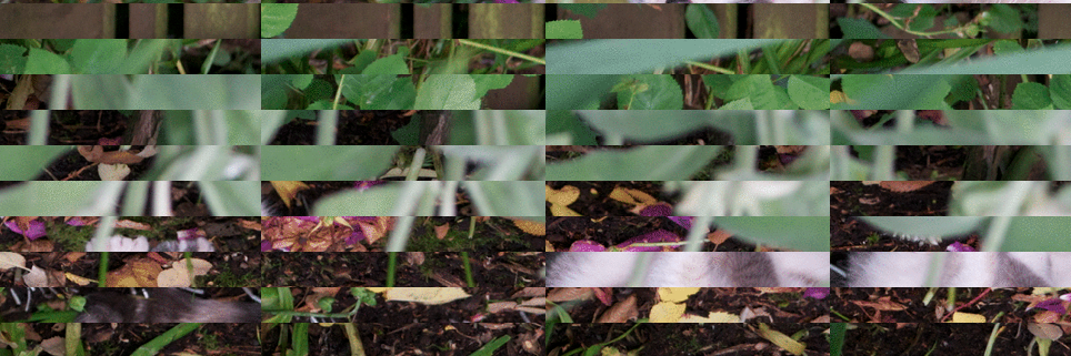 BodyAcademics's profile banner image