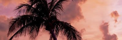 fddftrtyytt's profile banner image