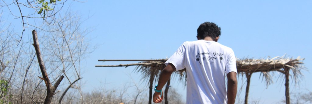 Mi Mosa banner